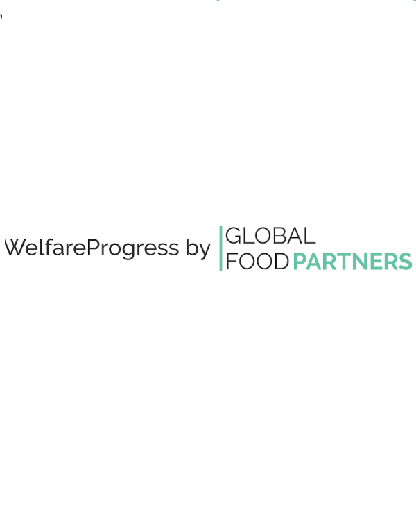 Welfare Progress